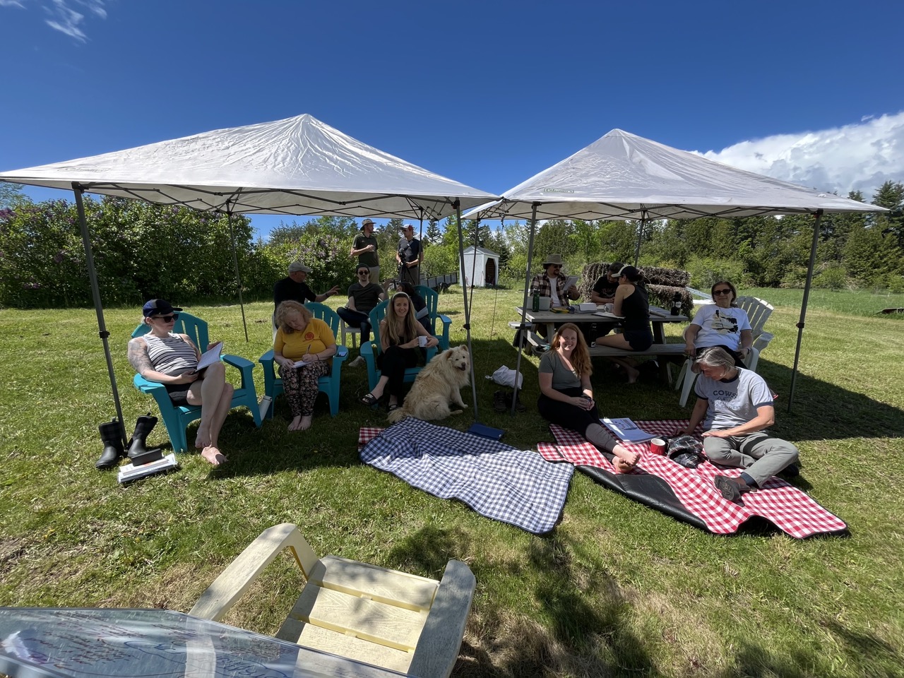 Outdoor pavilion event